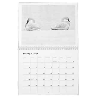 Nature's Perspectives - 2026 Wall Calendar Kalender