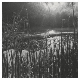 Natures Sunrise Fabric Stoff