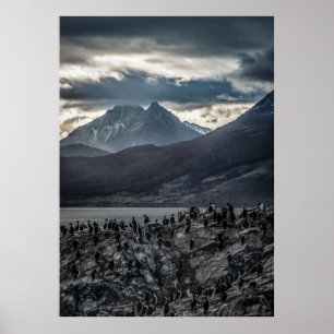 Nature's Symphony: Ein Portrait von Ushuaias Wild  Poster