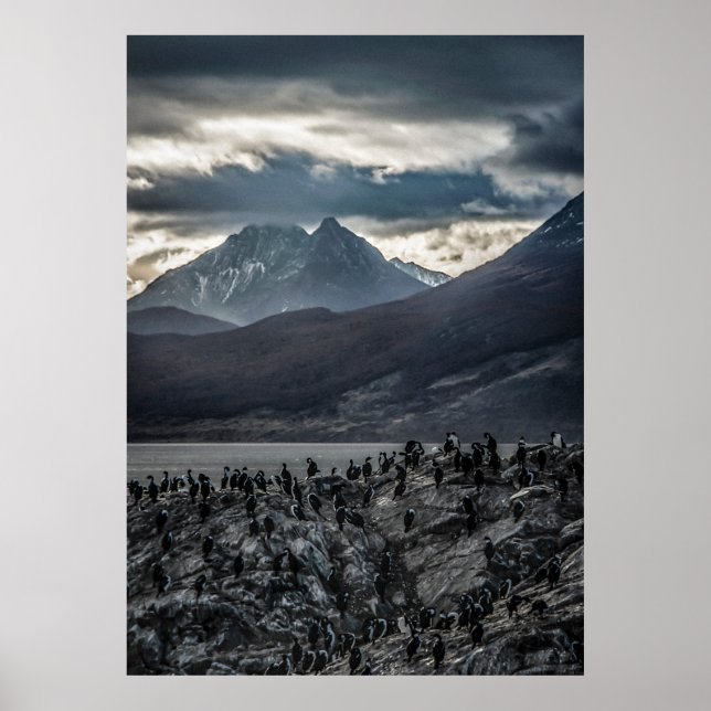 Nature's Symphony: Ein Portrait von Ushuaias Wild  Poster (Vorne)