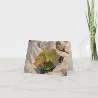 Nature's Touch - Blank Greeting & Dankeschön Card Dankeskarte