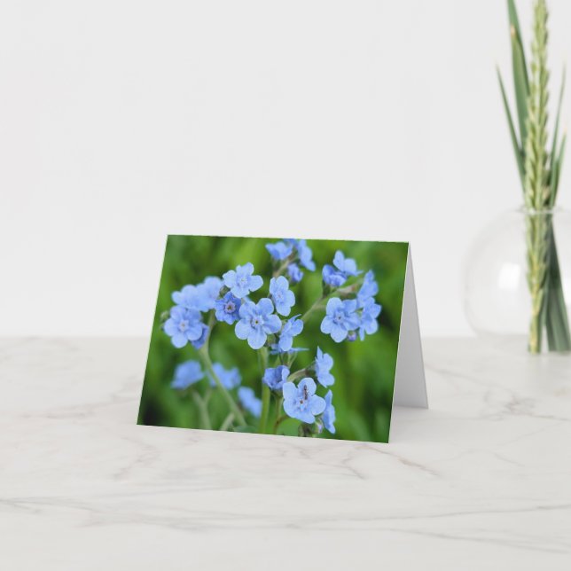 Nature's Touch - Blank Greeting & Dankeschön Card Dankeskarte (Vorderseite)