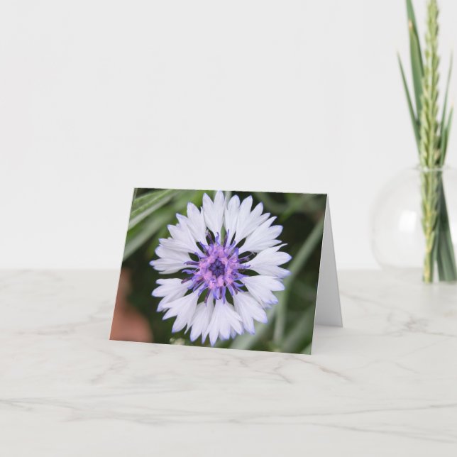 Nature's Touch - Blank Greeting & Dankeschön Card Karte (Vorderseite)