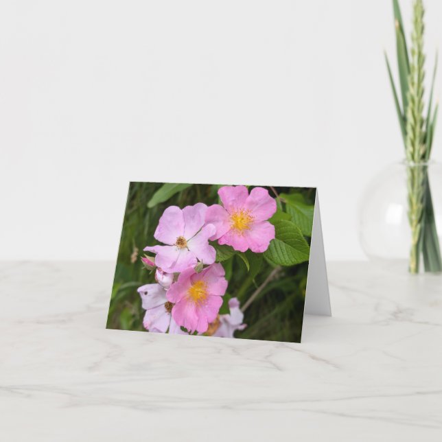 Nature's Touch - Blank Greeting & Dankeschön Card Karte (Vorderseite)