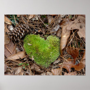 Nature's Valentine Moss Heart Poster