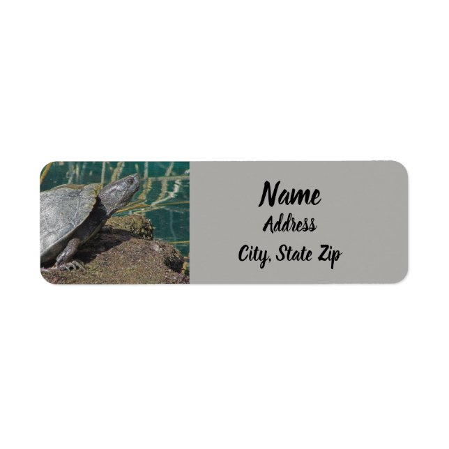 Naturetikum Foto Reptile See Tieradresse (Vorne)