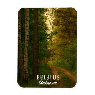 Naturewald ländliches Hüttendorf Weißrussland unbe Magnet