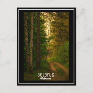 Naturewald ländliches Hüttendorf Weißrussland unbe Postkarte