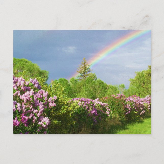 Naturfarben Postkarte (Vorderseite)