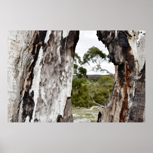 Naturfenster Poster (Vorne)