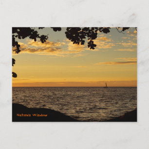 Naturfenster Postkarte