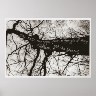 Naturflüster Poster