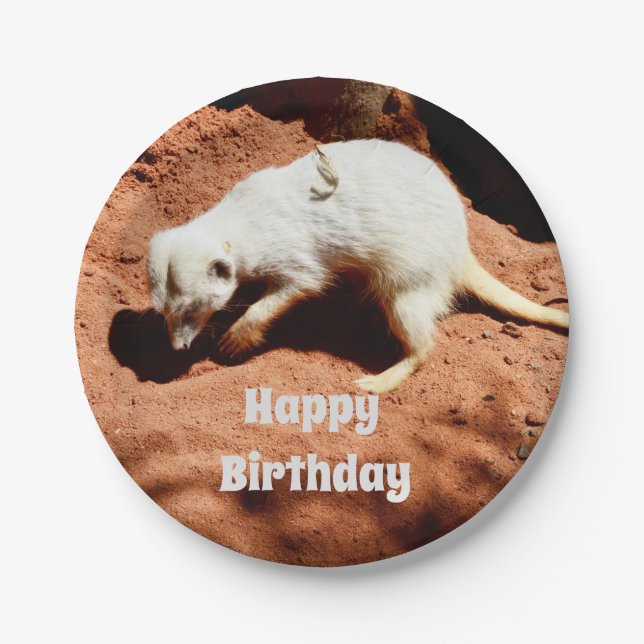 Naturforager: Weißes Meerkat-Graben für Busche Pappteller (Vorderseite)