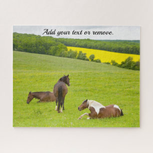 Naturfoto, Wildbraune Pferde auf einer Wiese: Puzzle