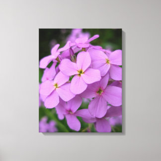 Naturfotografie auf Leinwand