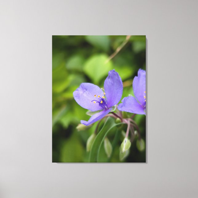 Naturfotografie auf Leinwand (Vorderseite)
