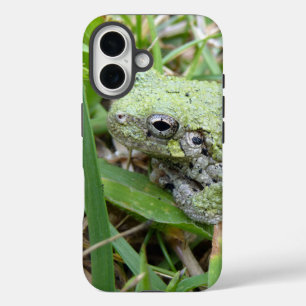Naturfotografie des Östlichen Grauen Laubfroschs iPhone 16 Hülle