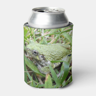 Naturfotografie des Östlichen Grauen Laubfroschs Dosenkühler