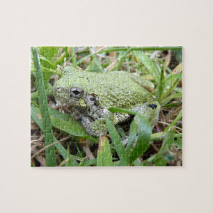 Naturfotografie des Östlichen Grauen Laubfroschs Puzzle