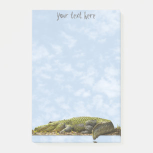 Naturfotografie Großer Gator Panoramaausschnitt Post-it Klebezettel