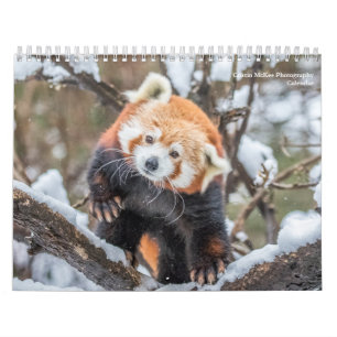 Naturfotografie Kalender