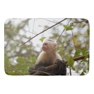 Naturfotografie, Kapuzineraffe Badematte