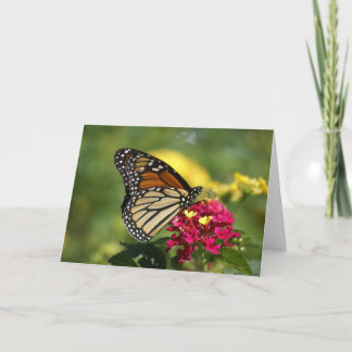 Naturfotografie Karte