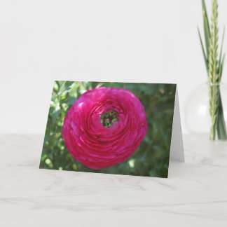 Naturfotografie Karte