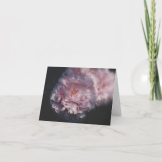 Naturfotografie Karte