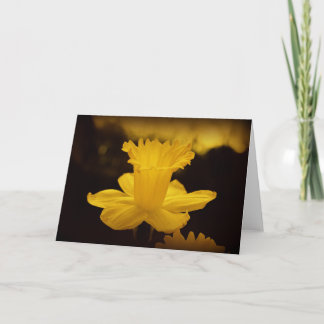 Naturfotografie Karte