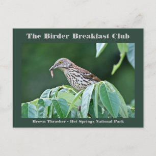 Naturfotografie Katzenvogel Vogelbeobachter Karte
