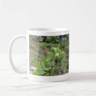 Naturfotografie Pflanze Beachvolleyball Name Kaffeetasse
