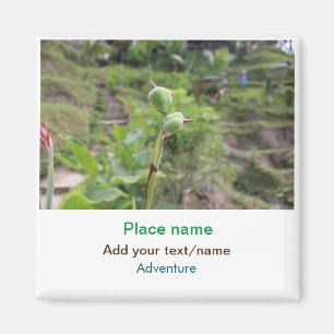 Naturfotografie Pflanze Beachvolleyball Name Magnet