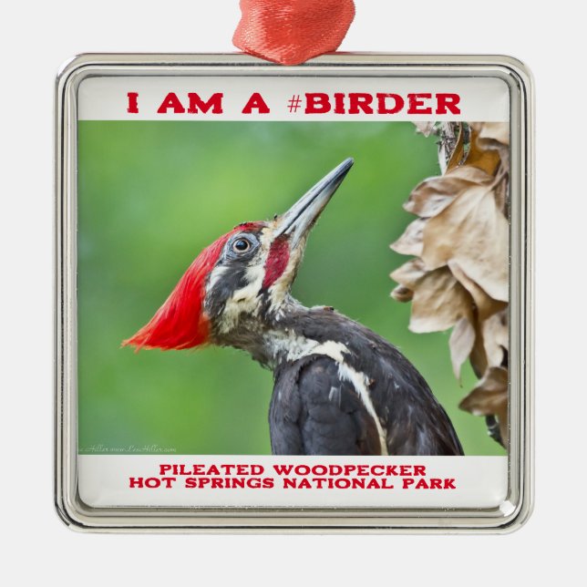 Naturfotografie Pileated Woodpecker Vogelbeobachte Ornament Aus Metall (Vorne)