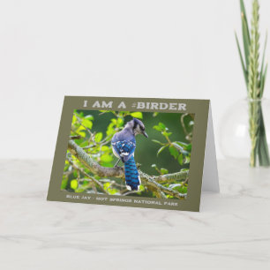 Naturfotografie Scheuer Blauhäher Vogelbeobachter Karte