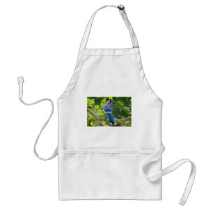 Naturfotografie Schüchterne Blaue Jay Bekleidung G Schürze