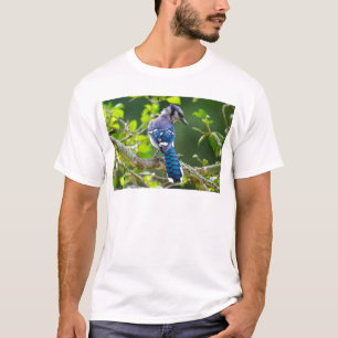 Naturfotografie Schüchterne Blaue Jay Bekleidung G T-Shirt