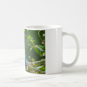 Naturfotografie Schüchterne Blaue Jay Bekleidung G Tasse