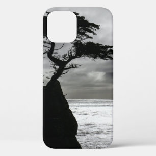 Naturfotografie Schwarz-Weiß Case-Mate iPhone Hülle