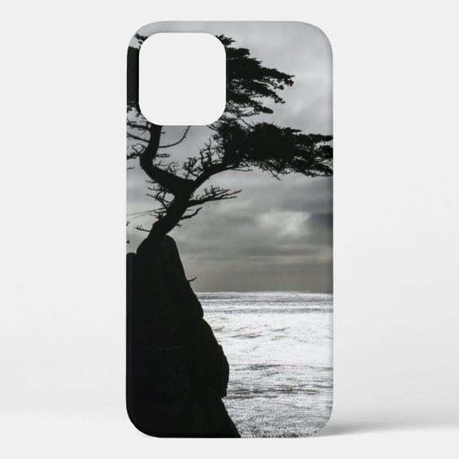 Naturfotografie Schwarz-Weiß Case-Mate iPhone Hülle (Rückseite)