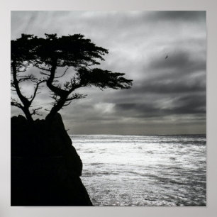 Naturfotografie Schwarz-Weiß Poster