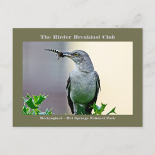 Naturfotografie Spottdrossel Vogelbeobachter Karte