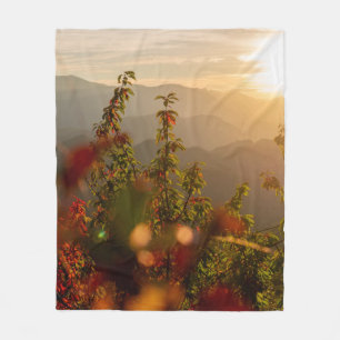 NATURFOTOGRAFIE VON GRÜNEN BÄUMEN MIT BLICK AUF BE FLEECEDECKE