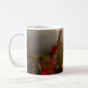 Naturfotografie von grünen Bäumen mit Blick auf de Kaffeetasse