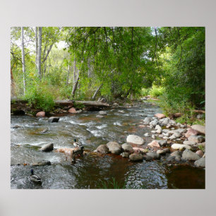 Naturfotografie von Oak Creek und Stockenten Poster