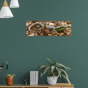 Naturfotografie von Wild Lizard Rustic Poster