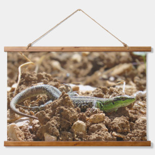 Naturfotografie von Wild Lizard Rustic Wandteppich Mit Holzrahmen