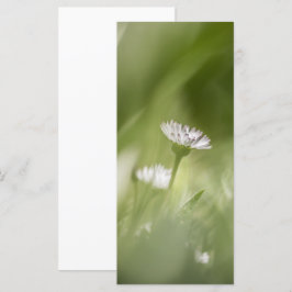 Naturfotokarte