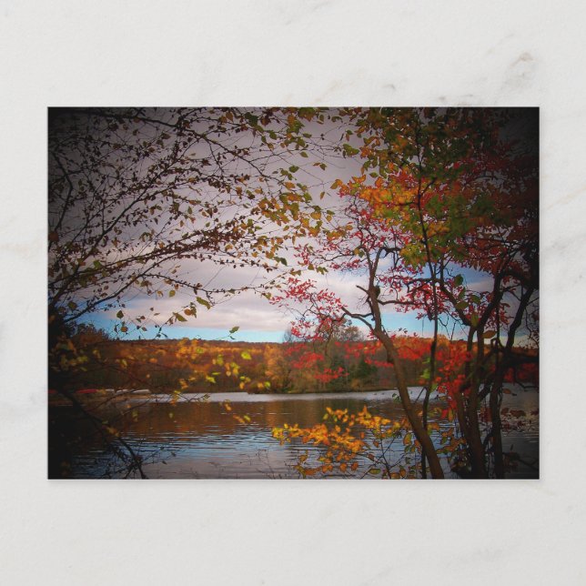 Naturfotos Postkarte (Vorderseite)