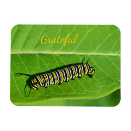 Naturfreundlichkeit Magnet